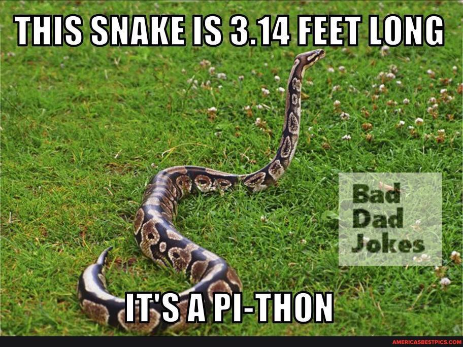 THIS SNAKE IS 3.14 FEET LONG
IT'S A PI-THON