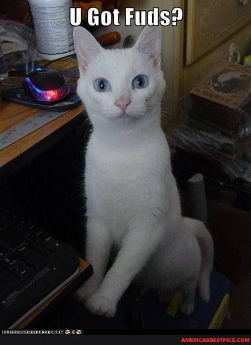 U Got Fuds?