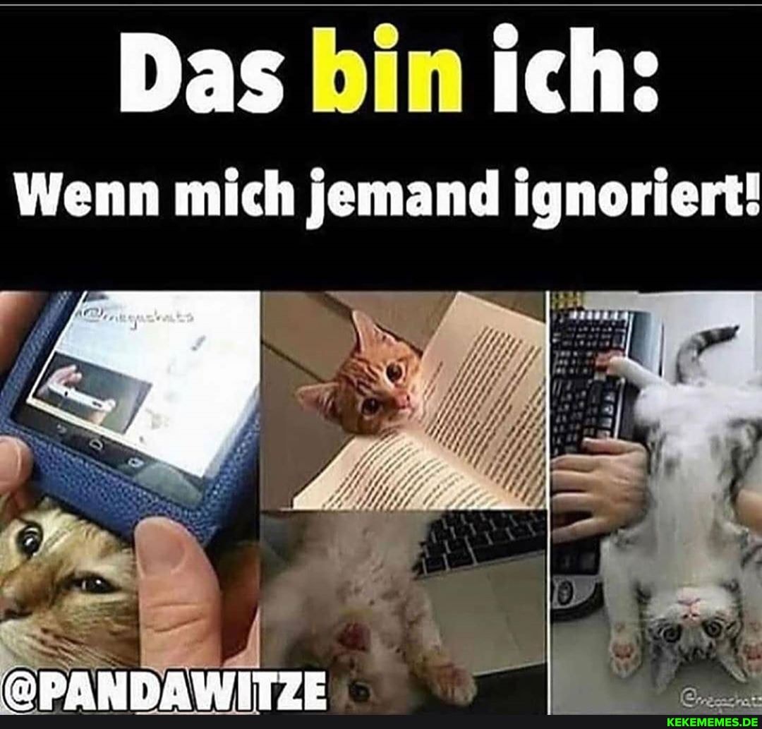 Das bin ich:
Wenn mich jemand ignoriert!
RMPANRAWITTE
