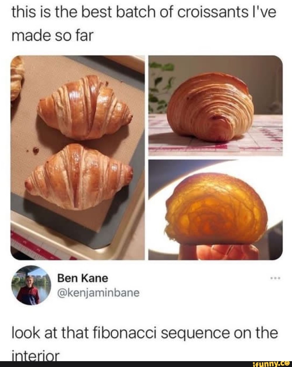 Fibonacci memes. Best Collection of funny Fibonacci pictures on iFunny