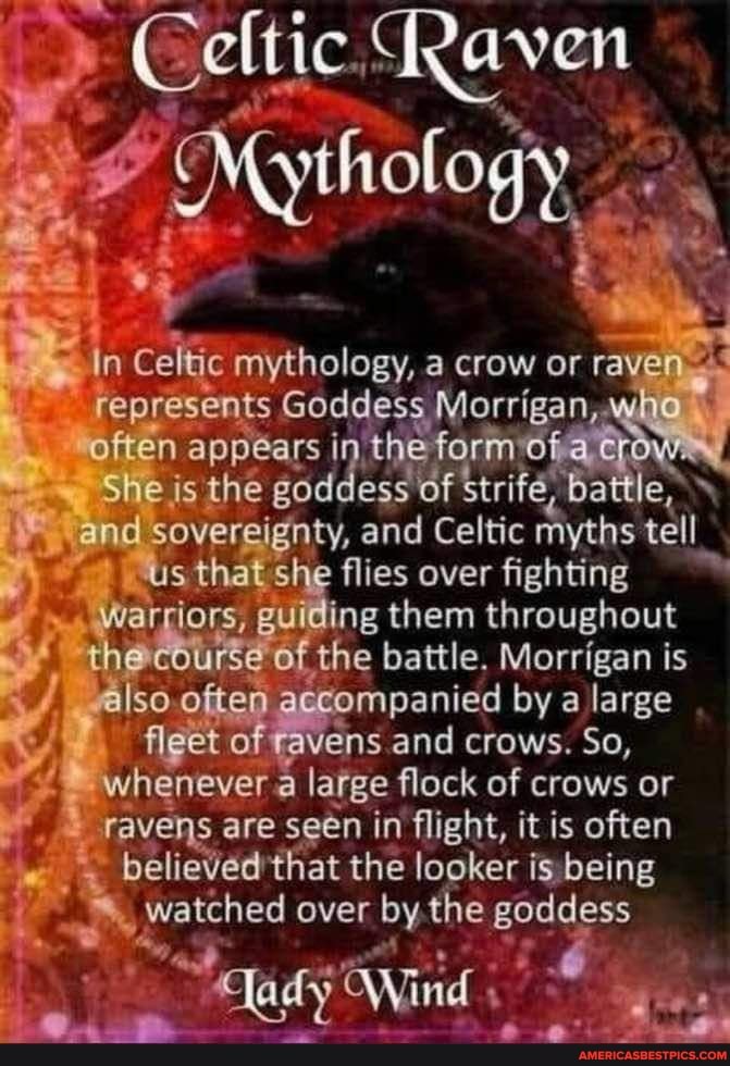 Celtic
Mythology
In Celtic mythology, a crow or raven represents Goddess Morrigan, who
"often appears In the form a
She is the goddess of Strife, battle, and sovereignty, and Celtic myths tell us that she flies over fighting warriors, guiding them throughout the course of the battle. Morrigan is also often accompanied by a large fleet of ravens and crows. So, whenever a large flock of crows or ravens are seen in flight, it is often that the looker is being watched over by the goddess
nd