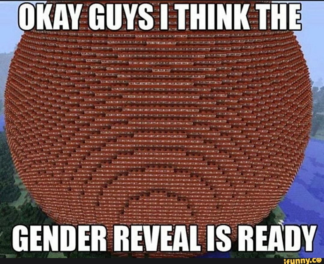OKAY GUYS I THINK THE
GENDER REVEAL IS READY