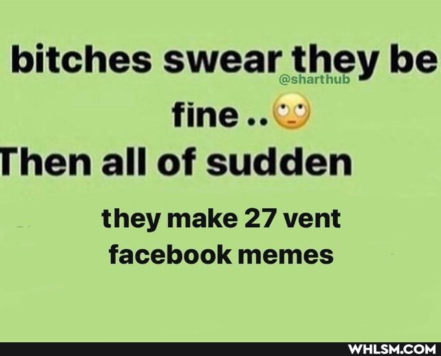 bitches swear they be fine..
Then all of sudden
they make 27 vent facebook memes