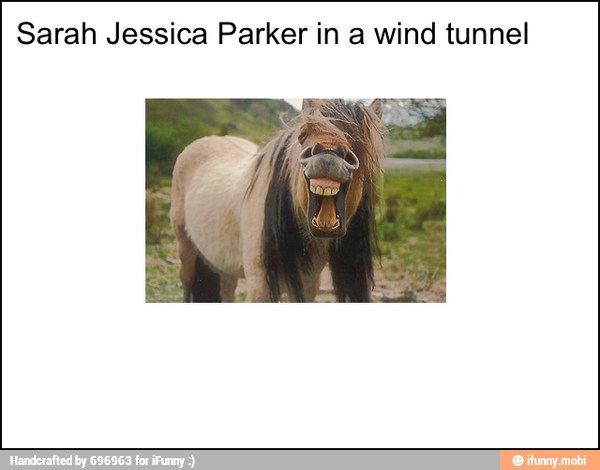Sarah Jessica Parker in a wind tunnel