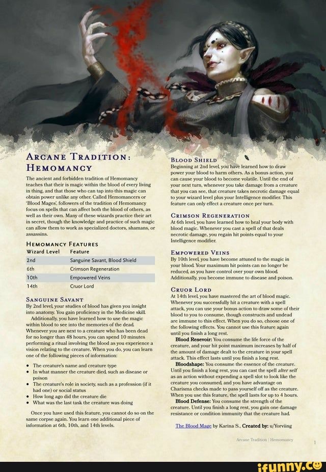 Wizard Arcane Traditions