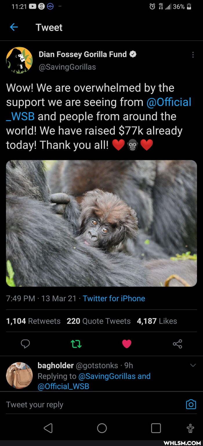 ll 36%
Tweet
Wow! We are overwhelmed by the support we are seeing from @Official
_WSB and people from around the world! We have raised already today! Thank you all! O@@
AS
PM - 13 Mar 21 - Twitter for iPhone
bagholder @gotstonks
Replying to @SavingGorillas and
@Official WSB Tweet your reply
O O