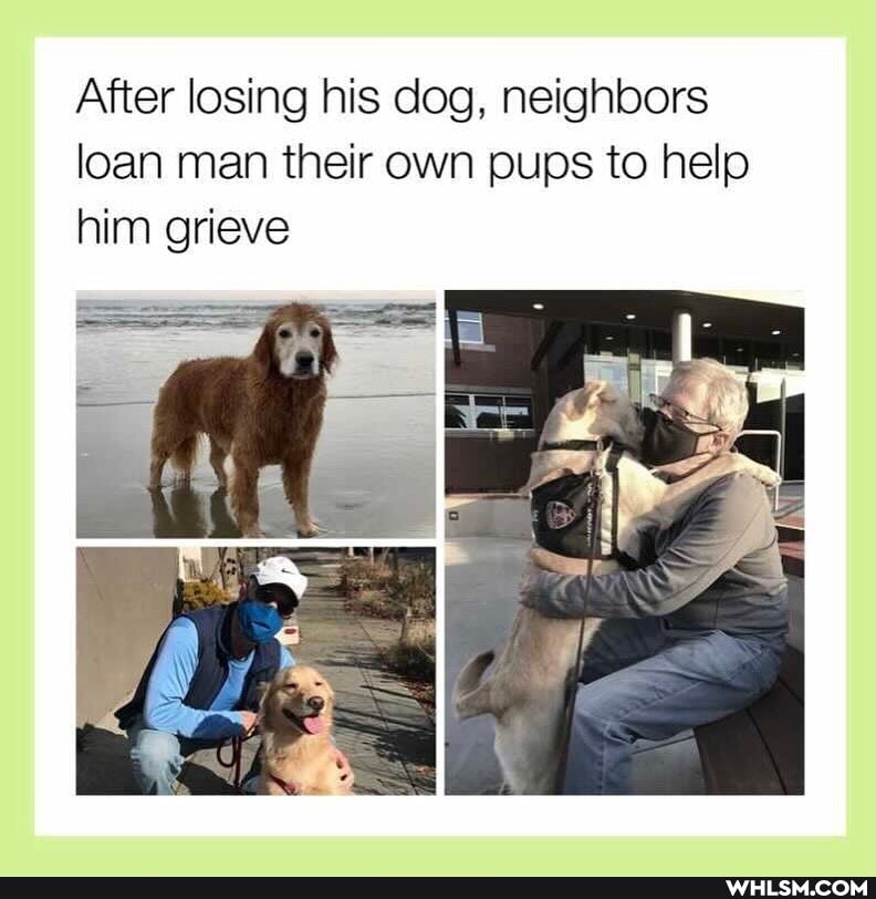 After losing his dog, neighbors loan man their own pups to help him grieve