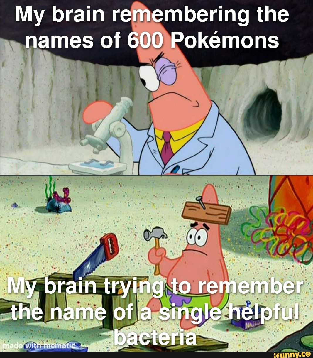 My Brain Remembering The Names Of 600 Pokemons My Brain Trying To my-brain-remembering-the-names-of-600-pokemons-my-brain-trying-to