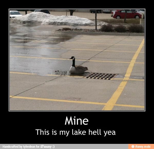 This is my lake hell yea - Mine
This is my lake hell yea