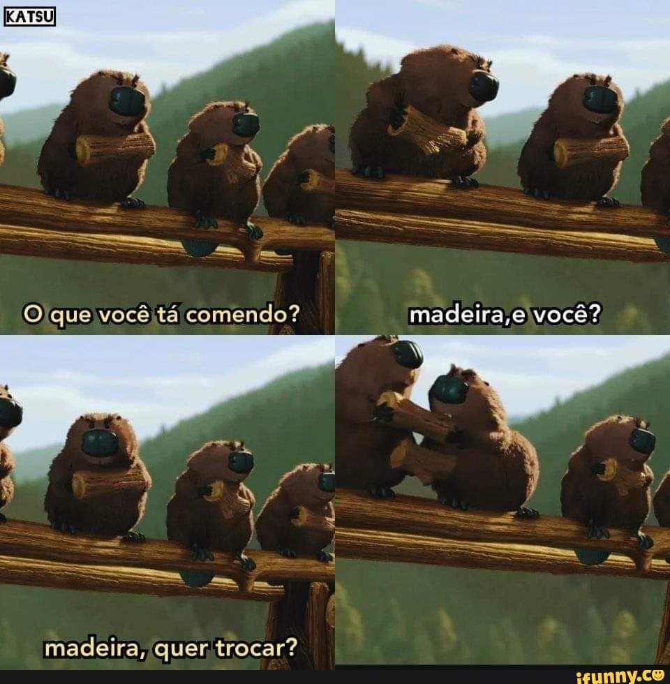 O que você tá comendo? madeira você?
madeira, quer trocar?