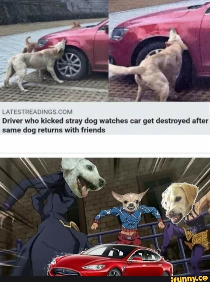 LATESTREADINGS.COM
Driver who kicked stray dog watches car get destroyed after
same dog returns with friends