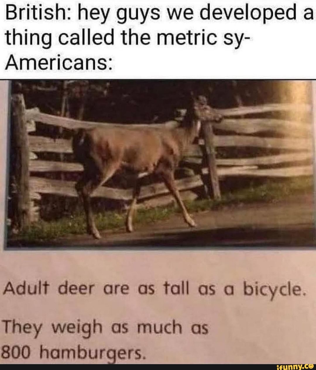 British: hey guys we developed a thing called the metric sy-
Americans:
Adult deer are as tall as a bicycle.
They weigh as much as
800 hamburgers.