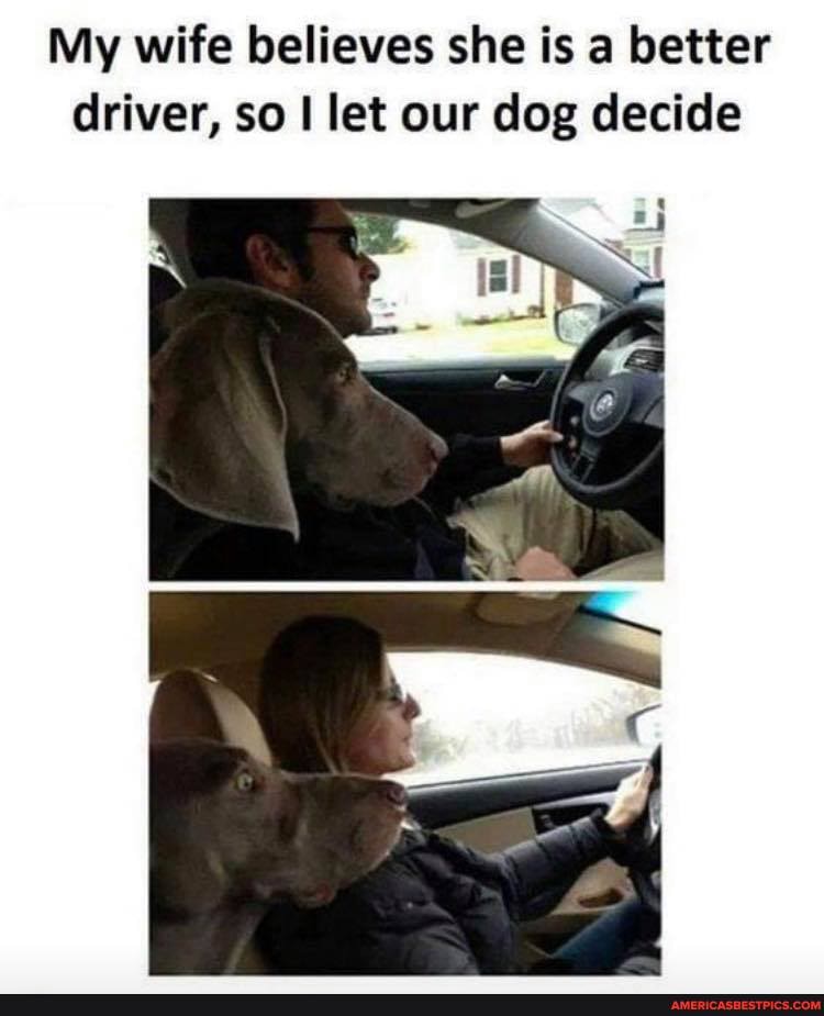 My wife believes she is a better driver, so I let our dog decide