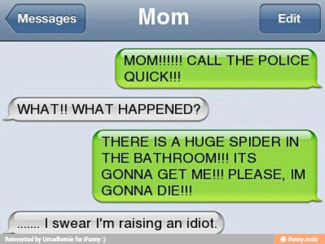 o
a DN WHAT!! WHAT HAPPENED? THERE IS A HUGE SPIDER IN
THE BATHROOMI! ITS
GONNA GET ME!!! PLEASE, IM
I swear I'm raising an idiot. S