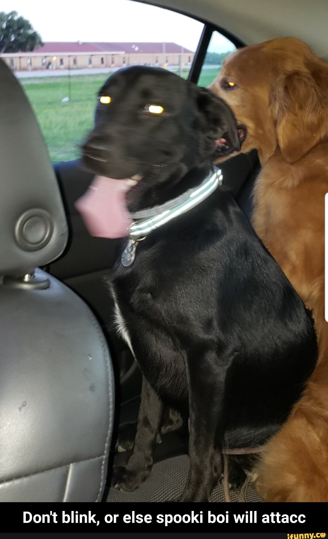 Don't blink, or else spooki boi will attacc - Don't blink, or else spooki boi will attacc