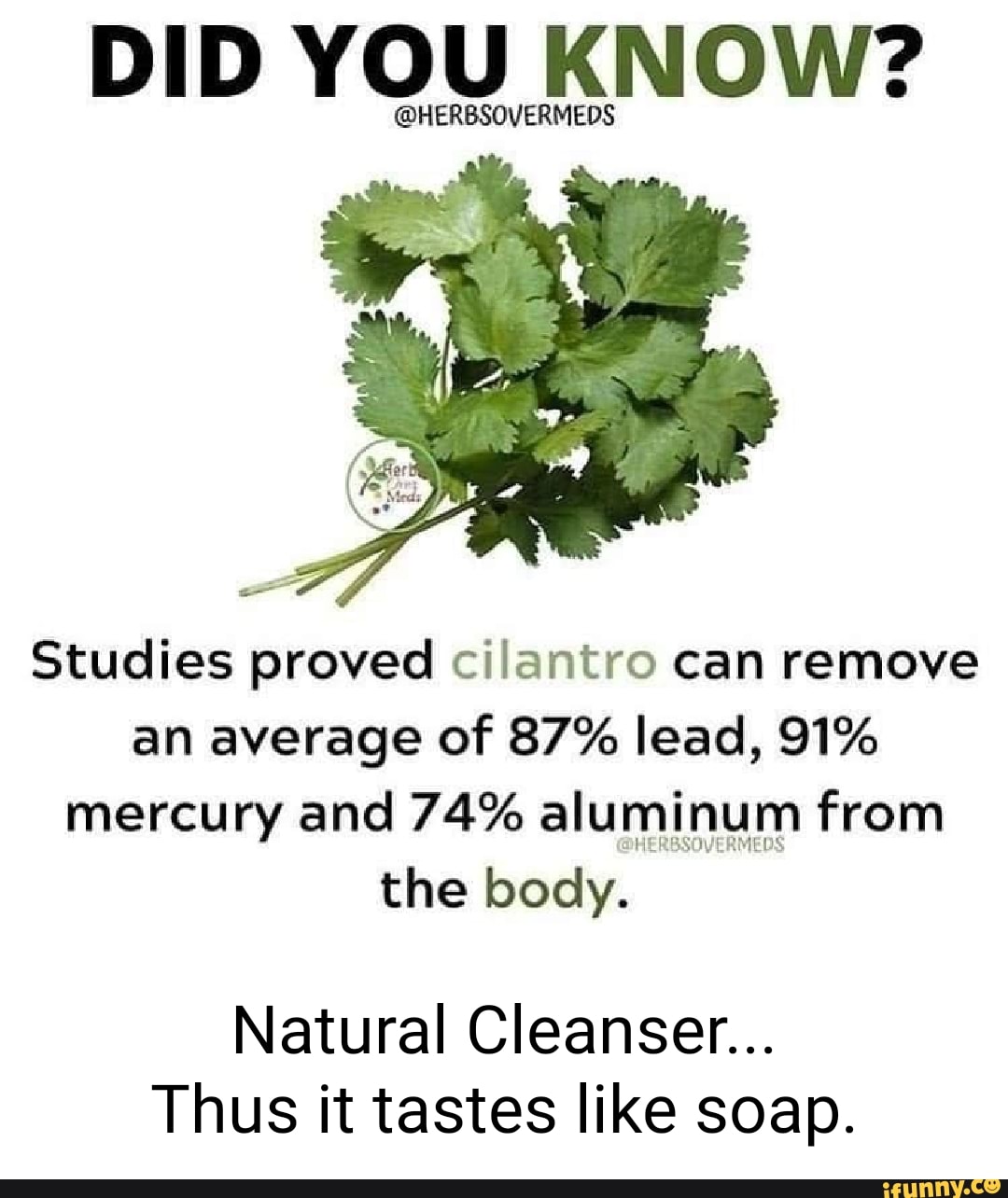 DID YOU KNOW? Studies proved cilantro can remove an average of 87 lead
