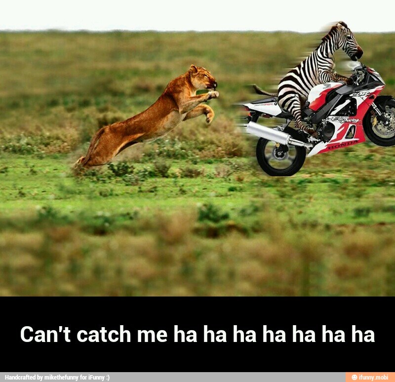 Can't catch me ha ha ha ha ha ha ha - Can't catch me ha ha ha ha ha ha ha