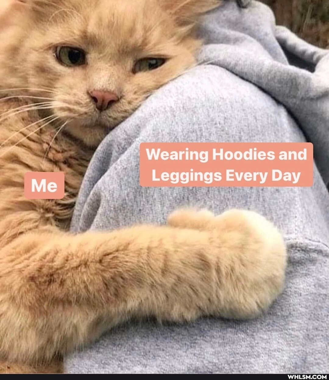 Wear ng Hoodies and
Every Da ngs Every Day