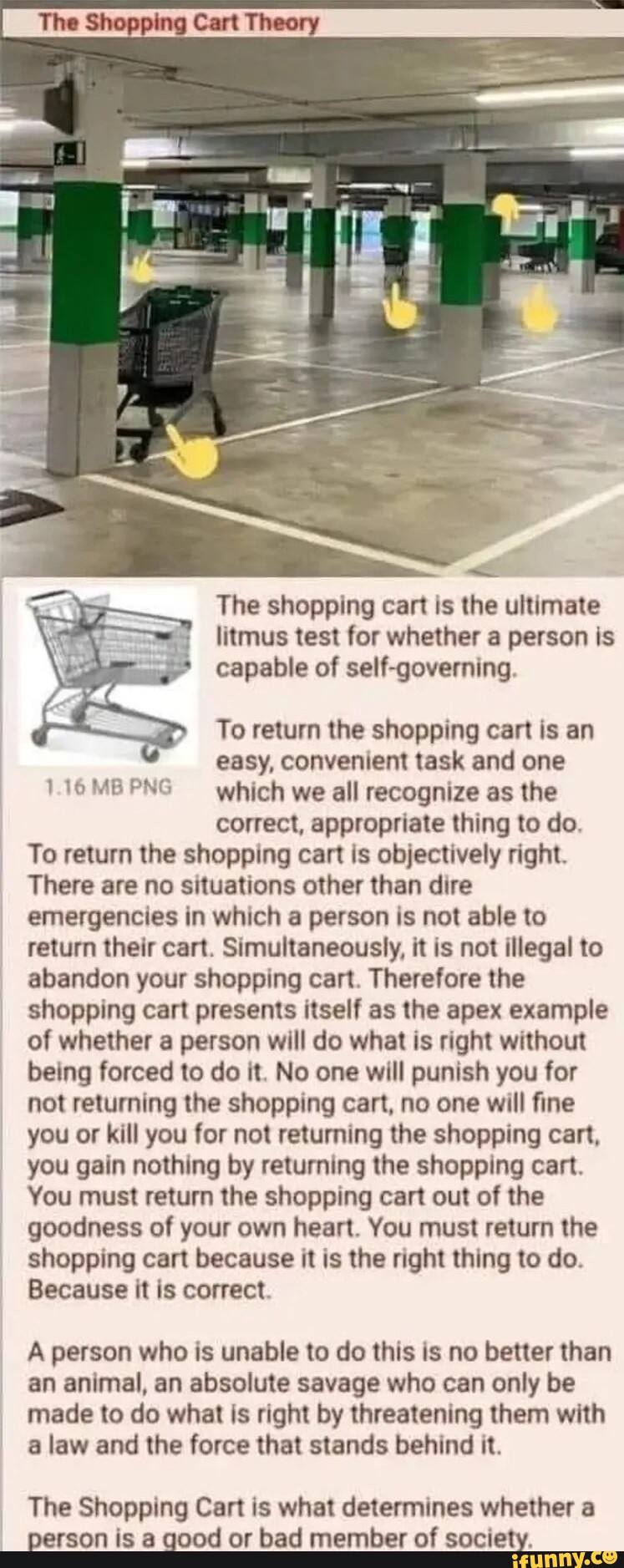 The Shopping Cart Theory The shopping cart is the ultimate litmus test ...