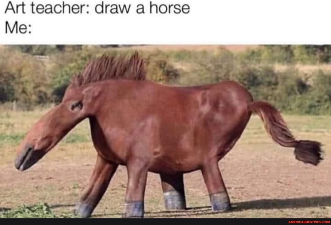 Art teacher: draw a horse
Me: