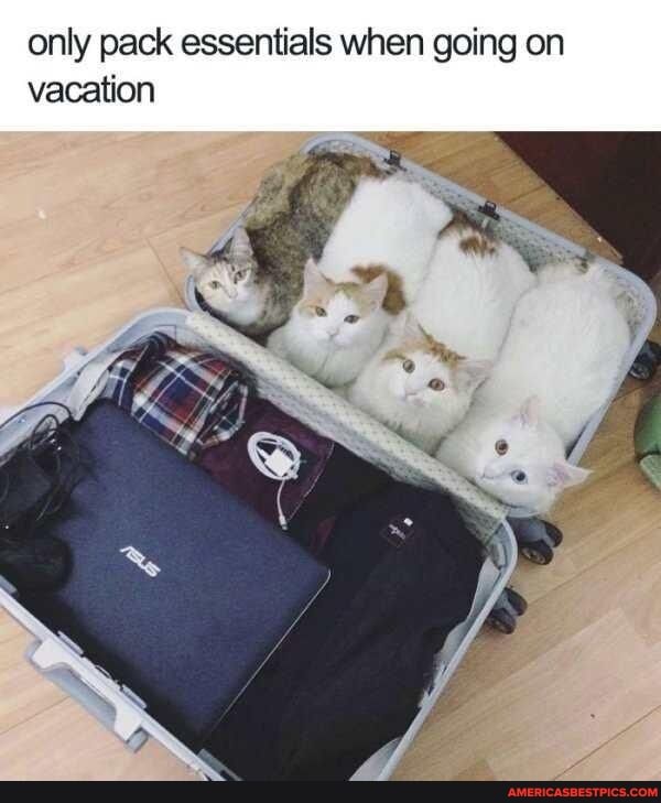 only pack essentials when going on vacation