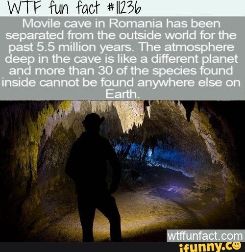 Tun tact Movile cave in Romania has been separated from the outside ...