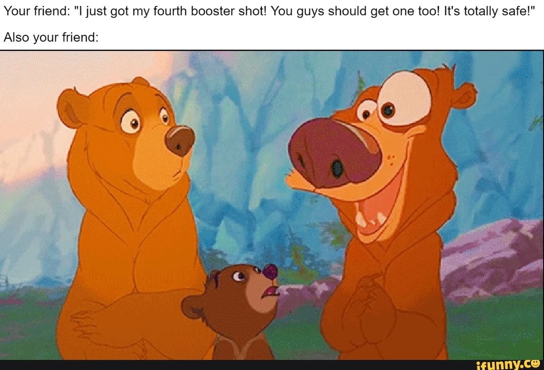 Brotherbear memes. Best Collection of funny Brotherbear pictures on iFunny