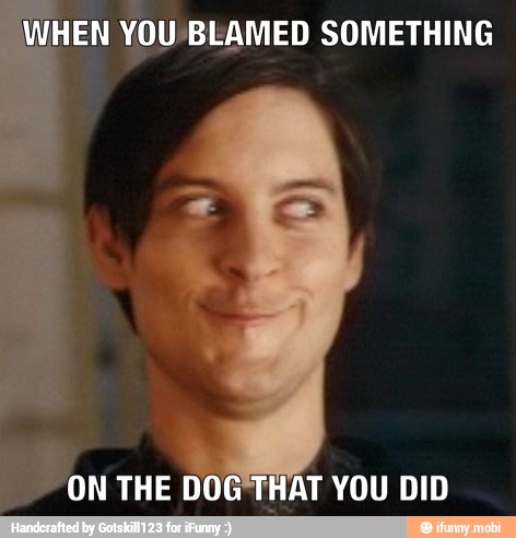 WHEN
YOU-BLAMED SOMETHING
