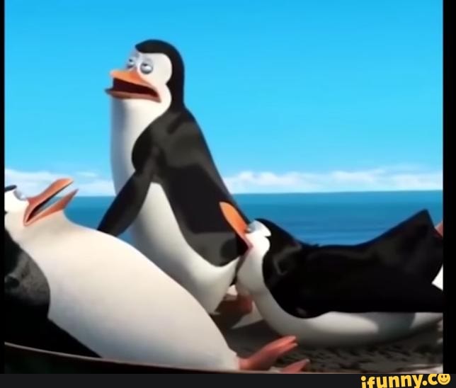 chupada, pinguins, de, madagascar