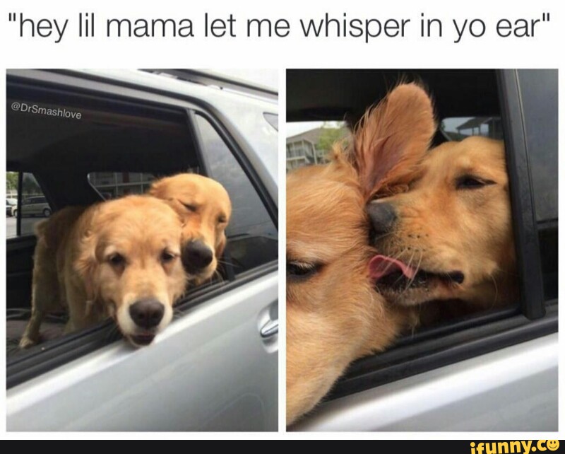 Hey Lil Mama Let Me Whisper In Yo Ear Ifunny