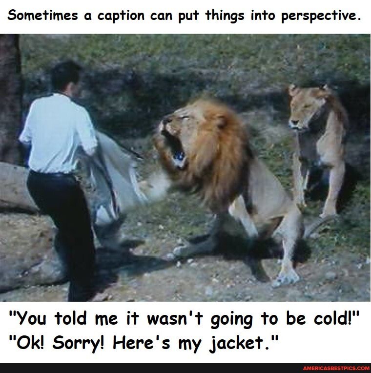 Sometimes a caption can put things into perspective.
"You told me it wasn't going to be cold!" jacket."