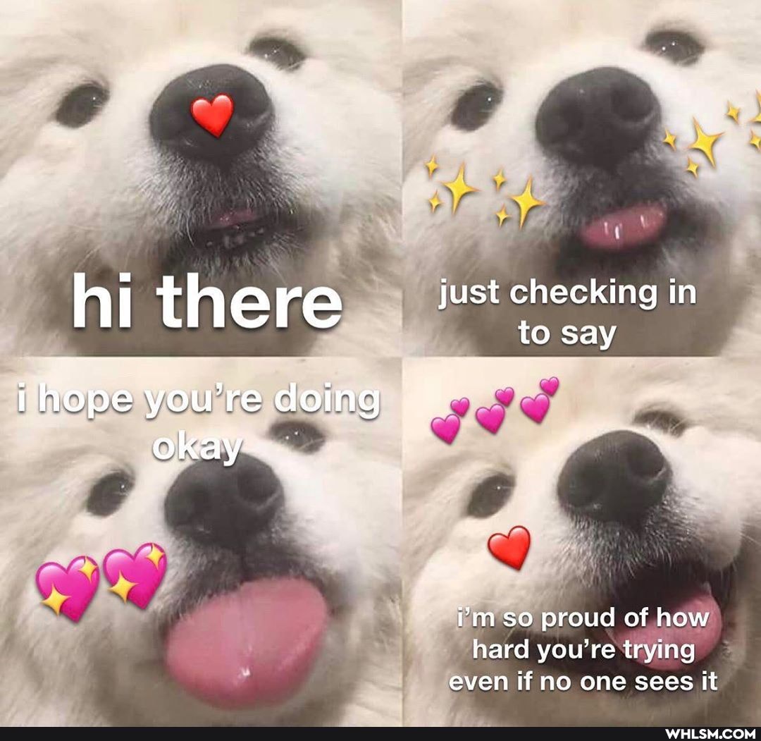 hi there just checking to say in
to say
hope you're doing okay:
i'm so proud of how hard you're trying even if no one sees it