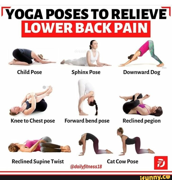 'yoga Poses To Relieve I Cow Pose Reclined Supine Twist Cat - Ifunny