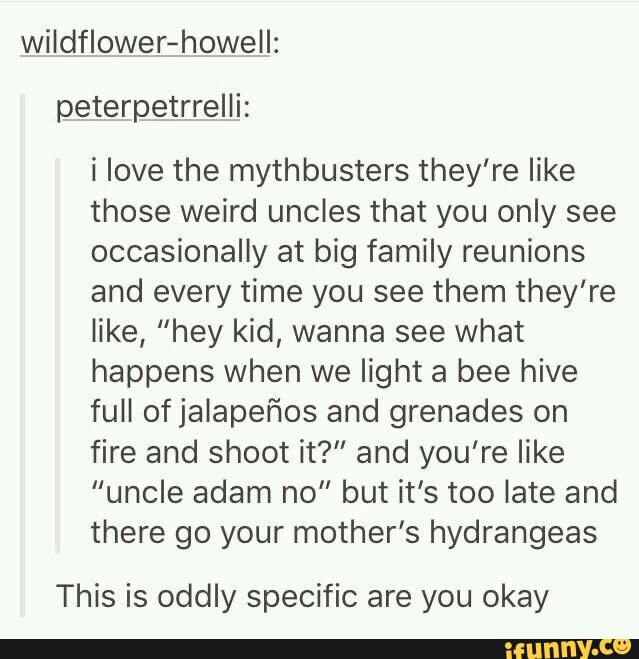 wildflower-howell:
peterpetrrelli:
¡ love the mythbusters they're like
those weird uncles that you only see
occasionally at big family reunions
and every time you see them they're
like, "hey kid, wanna see what
happens when we light a bee hive
full of jalapeños and grenades on
fire and shoot it?" and you're like
"uncle adam no" but it's too late and
there go your mother's hydrangeas
This is oddly specific are you okay