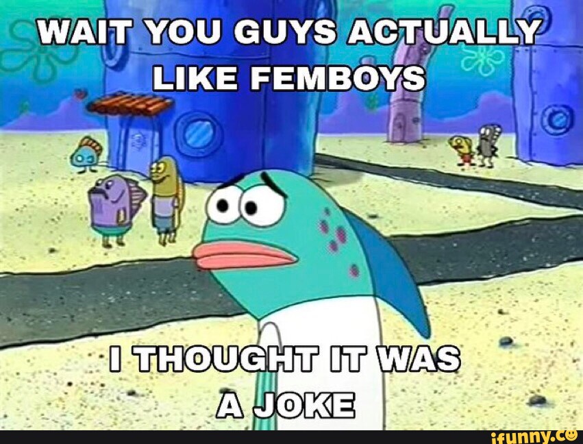 WAIT YOU GUYS ACTUALLY LIKE FEMBOYS - iFunny