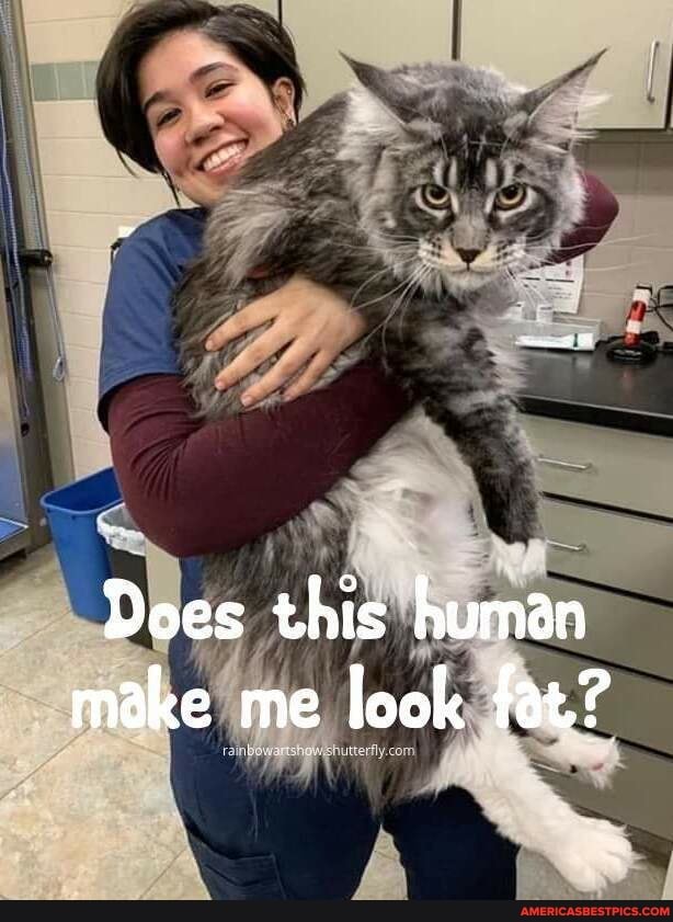 Does this human make me look fat?