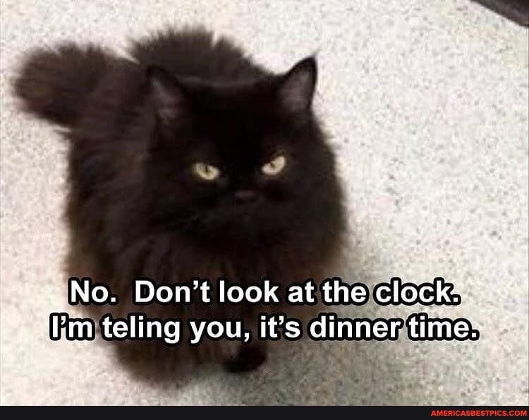",3, No. Don't look at the clock ing you, it's dinner time: