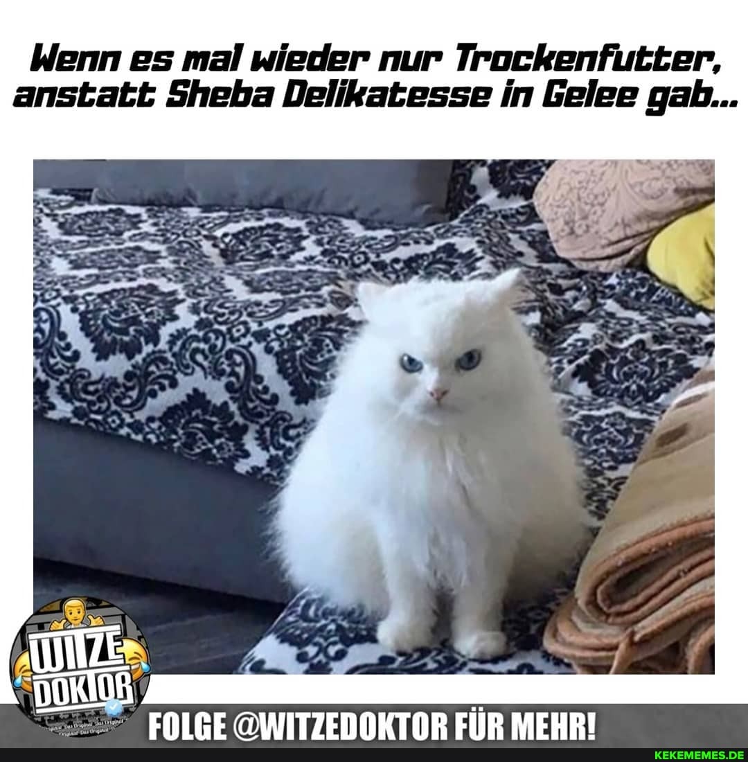 Wenn es mal wieder nur Trockenfutter, anstatt Sheba Delikatesse in Gelee gab...
ENIFE