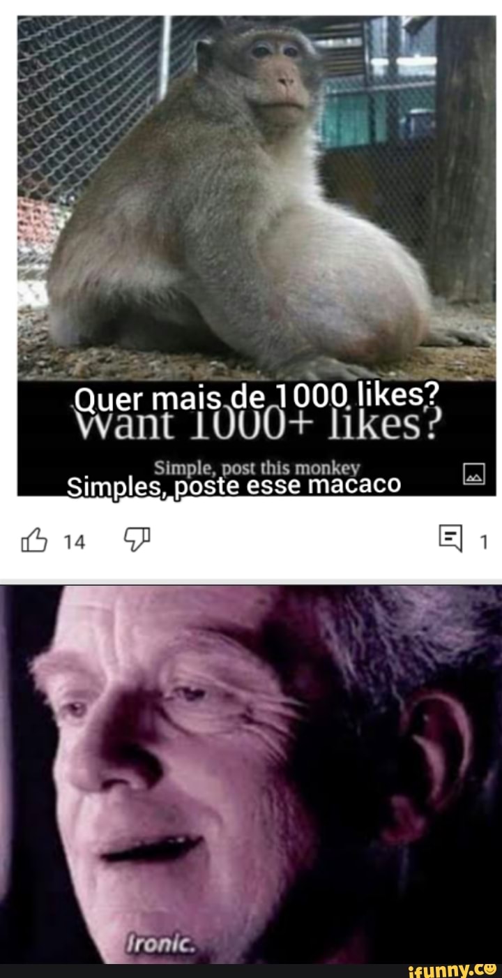 Quer mais.de 1000 likes?
Want 1O0U0+ likes?
Simple, post this monkey
Simples, te esse macaco