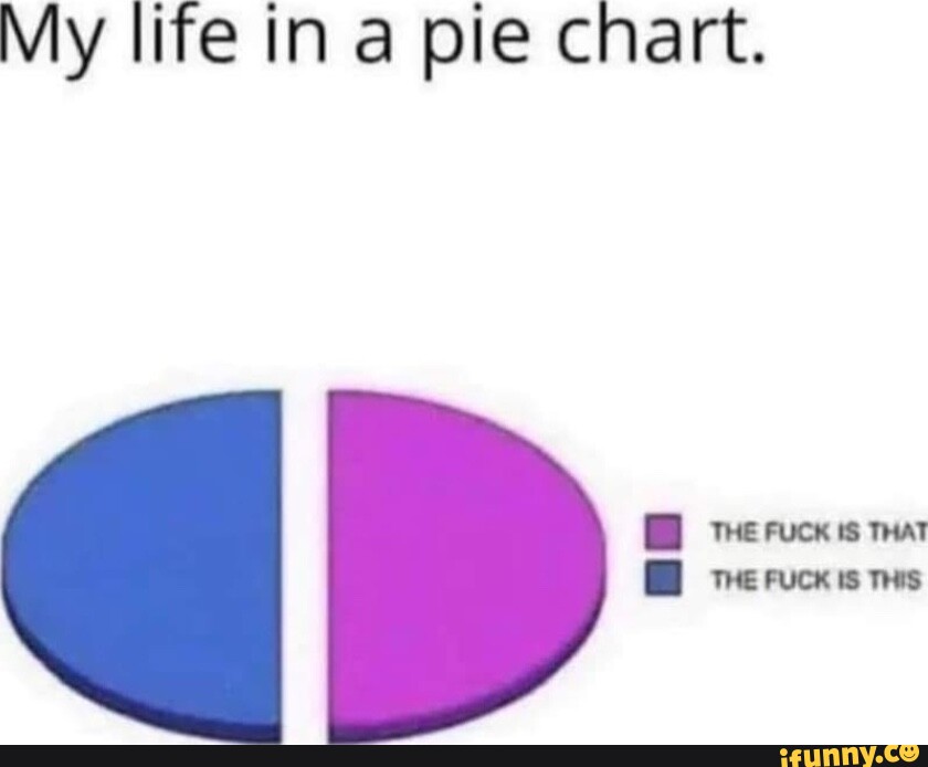 my-life-in-a-pie-chart-oreeruck-is-mat-ruck-is-ms-ifunny