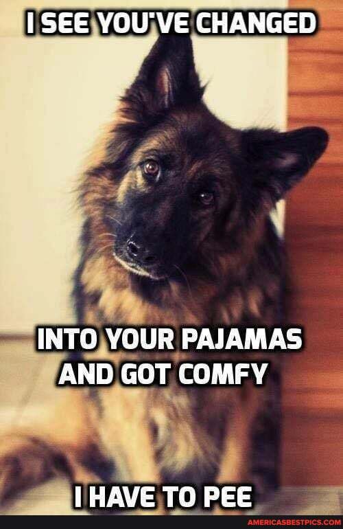 SEE YOU'VE CHANGED
INTO YOUR PAJAMAS AND GOT COMFY
ANTE
TH