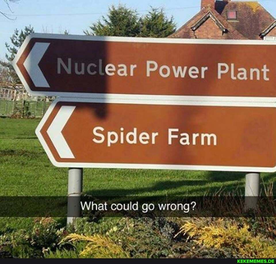 ear Power Plant
Spider Farm
What could go wrong?
