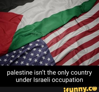 palestine isn't the only country under Israeli occupation