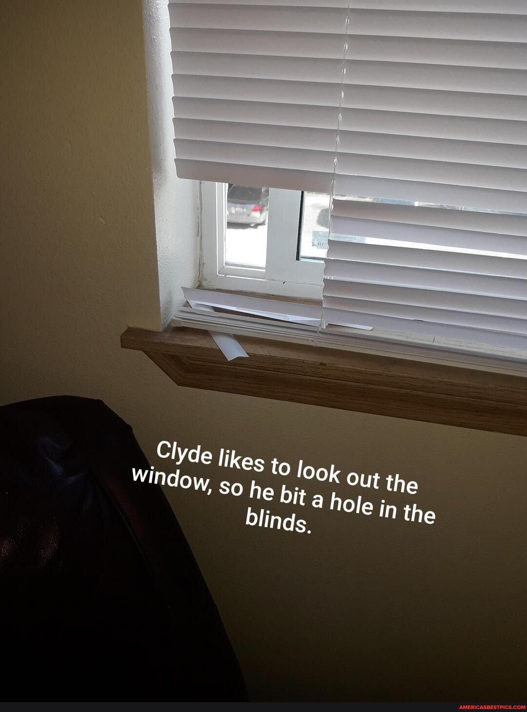 bling.
hole in the