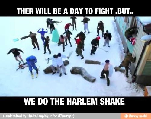 WE DO THE HARLEM SHAKE