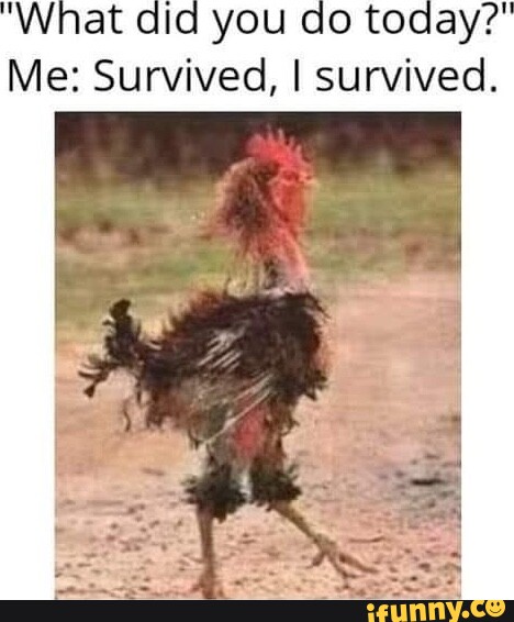 "What did you do today?" Me: Survived, I survived. - iFunny
