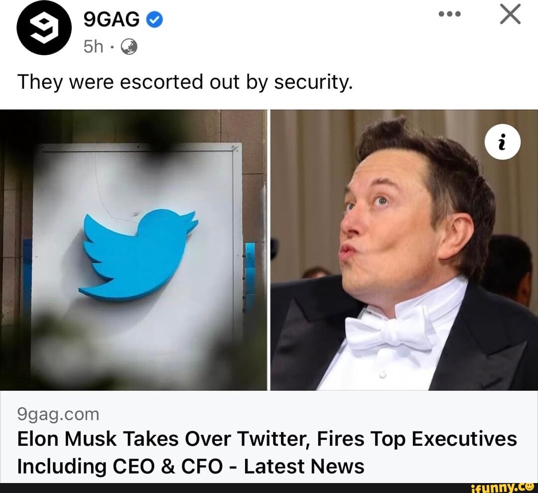 They Were Escorted Out By Security. Elon Musk Takes Over Twitter, Fires ...