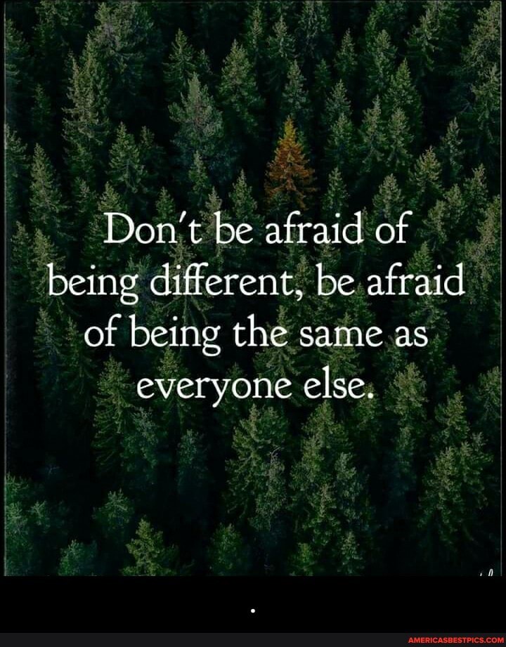Don't be afraid of being different, be afraid
Cc tf of being the same as everyone else. - .