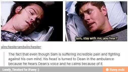 inchesterandwinchester
The fact that even though Sam is suffering incredible pain and fighting
against his own mind, his head is turned to Dean in the ambulance
because he hears Dean's voice and he calms because of it.
