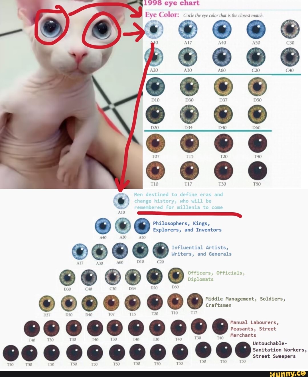 History Of The Eye Chart